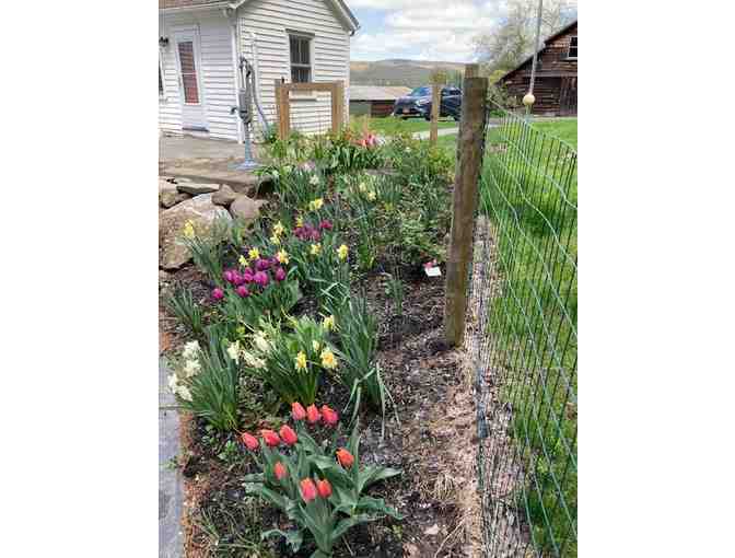 LIVE ITEM: Hudson Valley Weekend