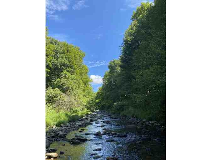 LIVE ITEM: Western Catskills Weekend