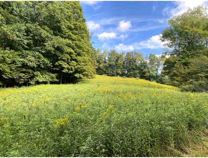 LIVE ITEM: Western Catskills Weekend