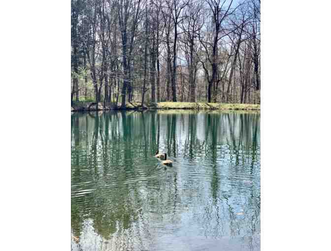 LIVE ITEM: Mingway Artland Weekend Retreat