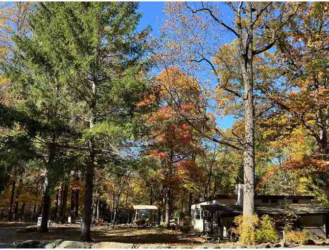 LIVE ITEM: Mingway Artland Weekend Retreat