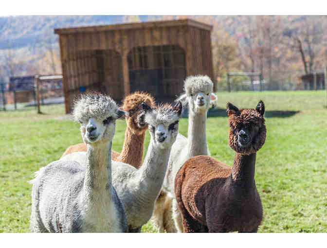 LIVE ITEM: Western Catskills Weekend