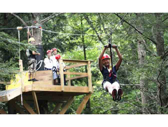 Zipline Adventure Mid-Mountain Tour!