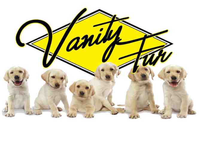 Vanity Fur Full Service Dog Groom