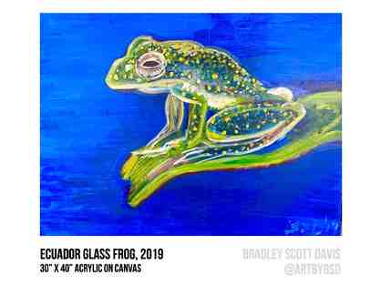Ecuador Glass Frog Painting