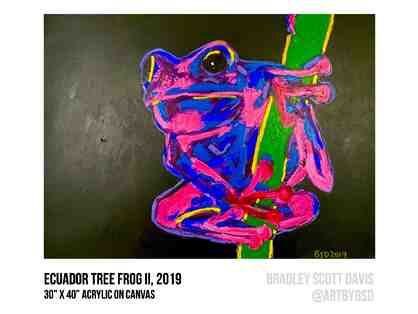 Ecuador Tree Frog II