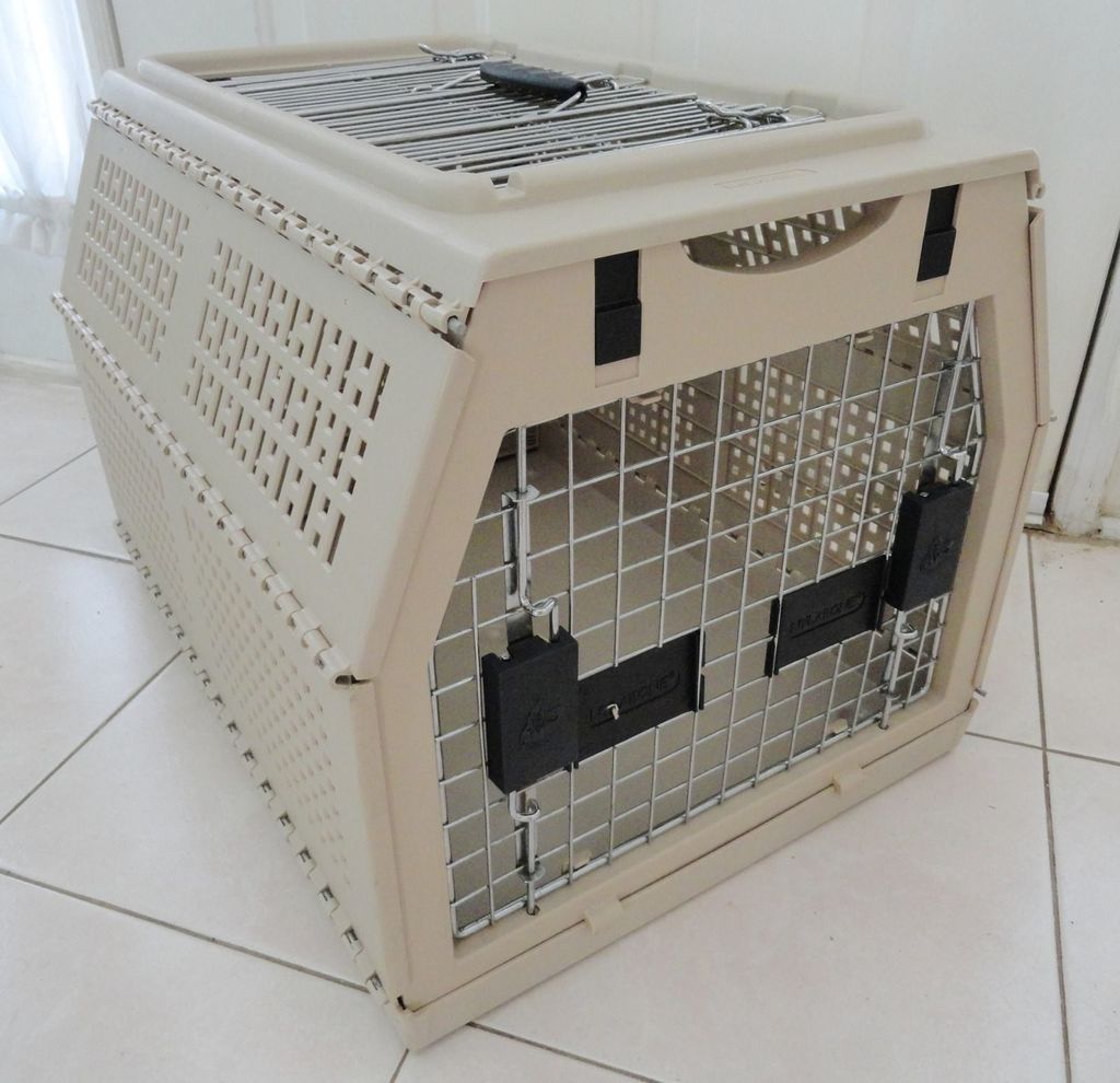 nylabone dog crate