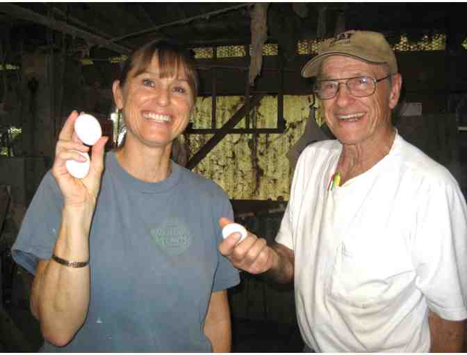 Flat of X Large White Eggs from Peterson's Upland Farm Wahiawa