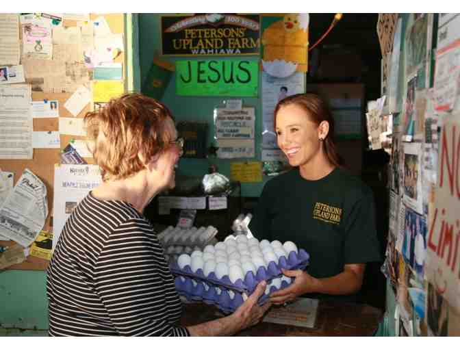 Flat of X-Large Eggs from Peterson's Upland Farm Wahiawa