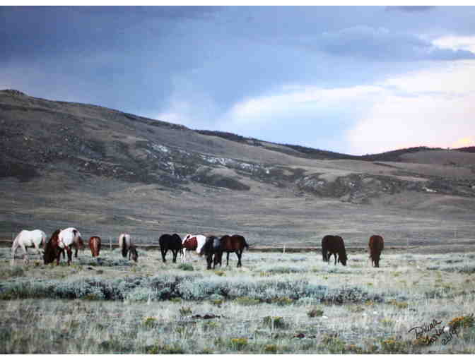 'Sunset Grazing'