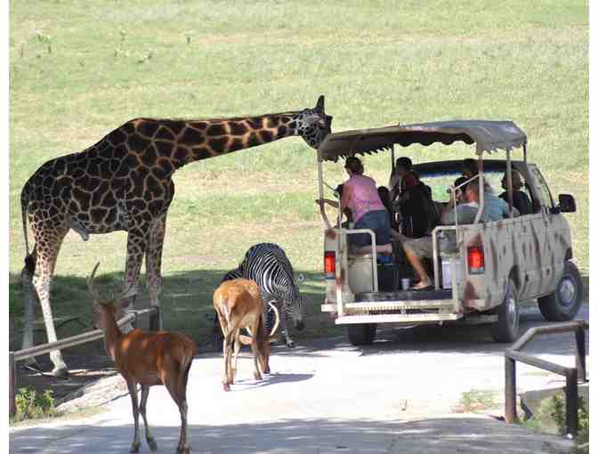 Gift Basket & Guided Tour for 2 at Fossil Rim Wildlife Center