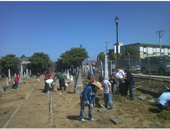 Colma Japanese Cemetery Clean Up - Help us Honor our Past!