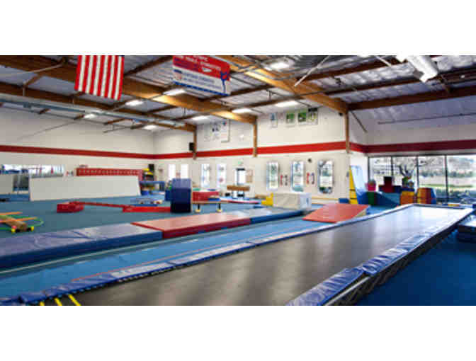 Gymtowne Gymnastics - 1 Month Tuition