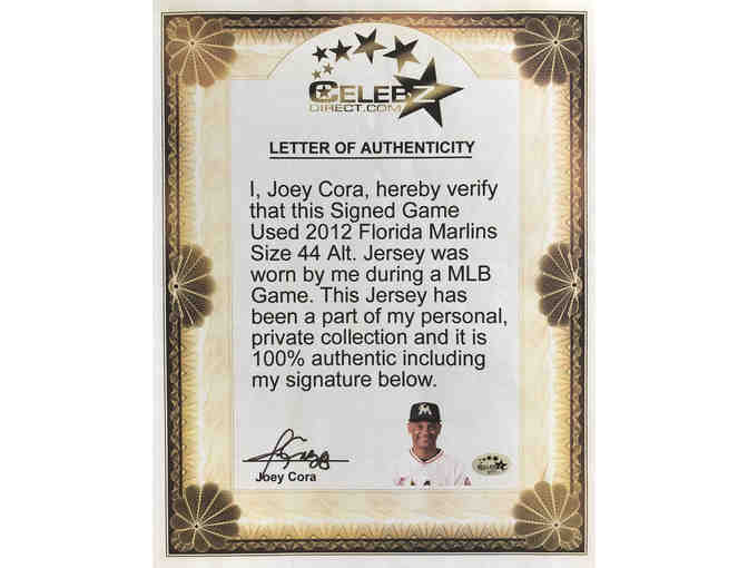 Jose Manuel Cora Amaro Framed MLB Game Worn Jersey