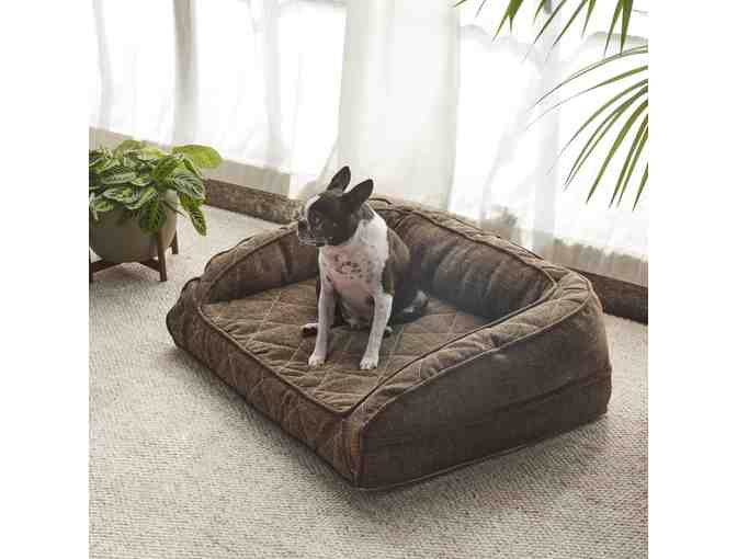 Griffith Orthopedic Pet Bed by Brentwood Home