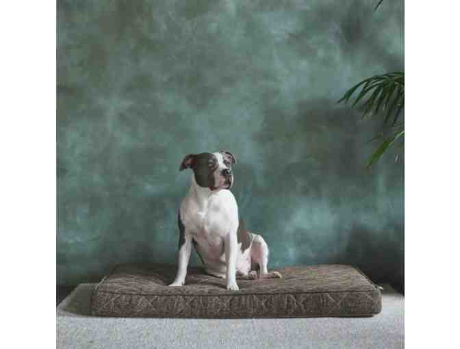 Runyon Orthopedic Gel Memory Foam Pet Bed by Brentwood Home