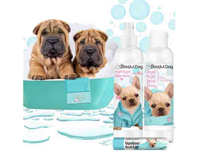 Hello Bliss Boo Boo Kit by The Blissful Dog