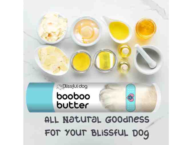 Hello Bliss Boo Boo Kit by The Blissful Dog