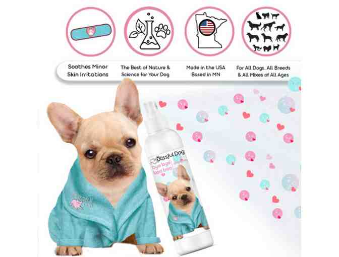 Hello Bliss Boo Boo Kit by The Blissful Dog