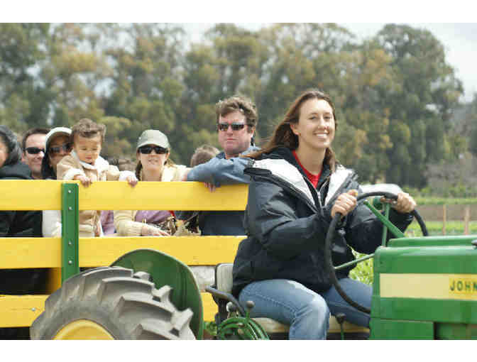Family Season Pass to Underwood Family Farms in Moorpark, CA - Photo 5