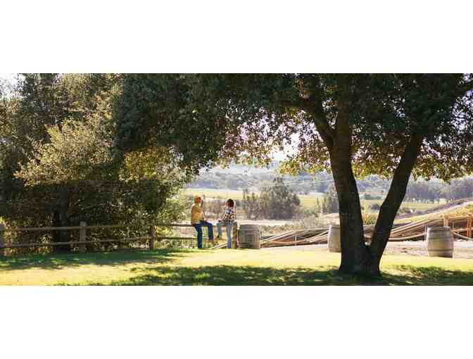 Tasting for Two at Babcock Winery and Vineyards