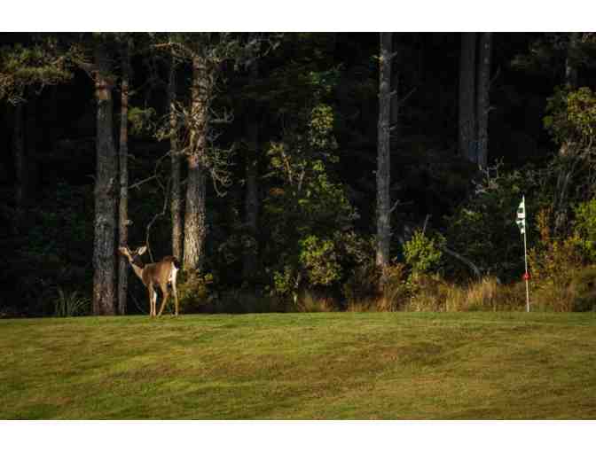 18 holes of Golf for Two with Cart at Little River Inn Golf Course - Photo 3