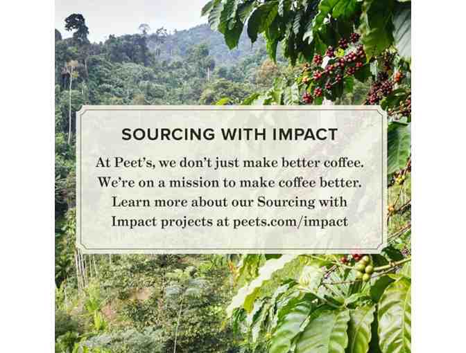 Bulk Lot 3: 84 Bags of Peet's Ground Coffee (Hazelnut Mocha, 10 oz Each)