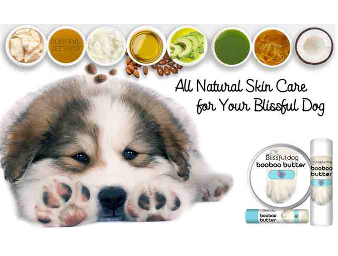 The Blissful Dog Nose to Toes Combo from The Blissful Dog