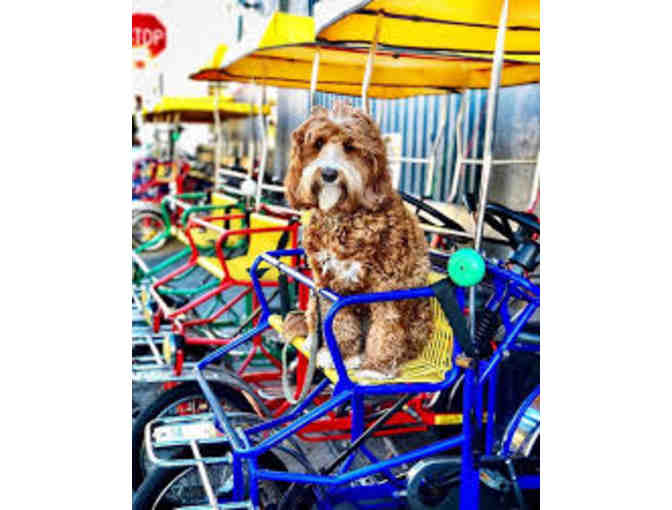 Four 1-Hour Rentals from ANY Wheel Fun Rentals Location Nationwide!