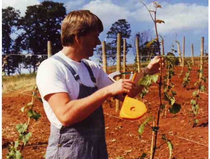 Wine Tasting for 4 guests at Willamette Valley Vineyards