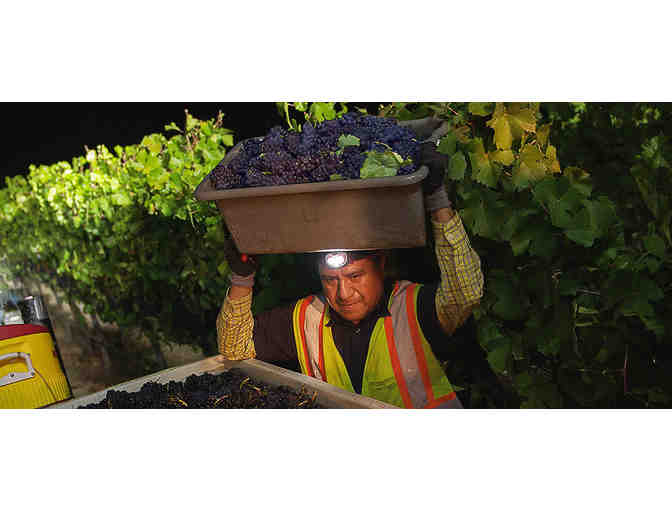 Winery Tour & Tasting For Four at Trione Vineyards & Winery