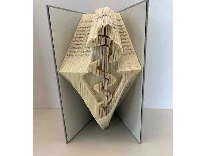 Veterinarian Caduceus Hardback Carved Book Art!