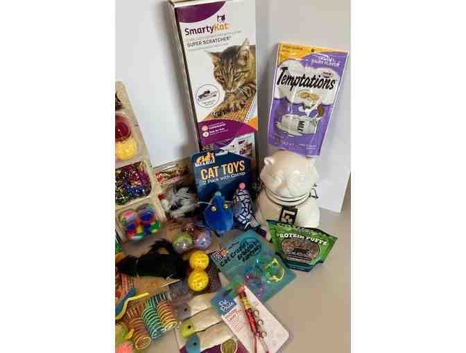 ULTIMATE Cat Toy Package!