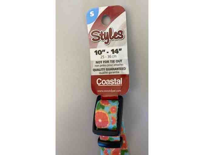 Coastal Pet Collar & bag of Hills Dog treats