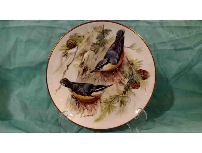 'Corsica Nuthatch' 1986 Edition German Plate