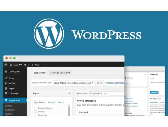 Basic Wordpress Website - What to Do Media