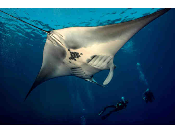 2 Spaces on Manta Ray Adventure