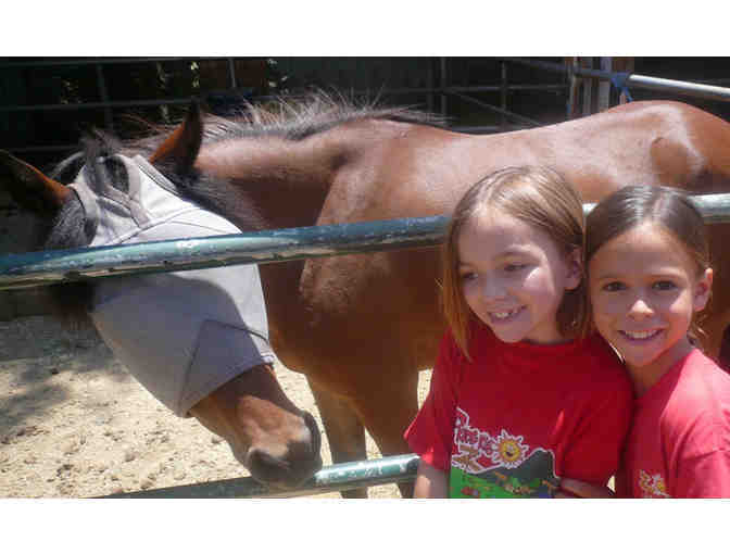 Enterprise Farms Riding School: Holiday Horse Camp