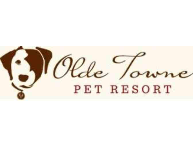 Three Night Stay and Spa Bath for Your Dog or Cat at Old Towne Pet Resort