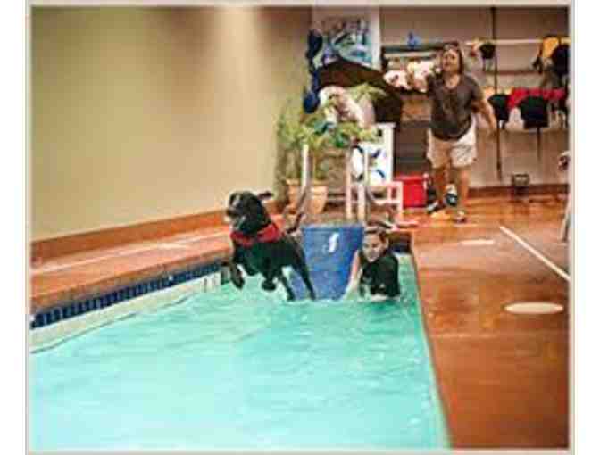 Three Night Stay and Spa Bath for Your Dog or Cat at Old Towne Pet Resort