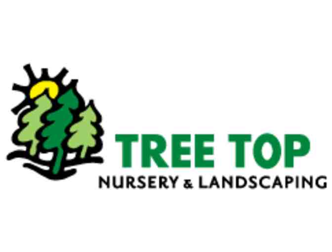 Tree Top Nursery & Landscaping Silk Arrangment & $100 gift card