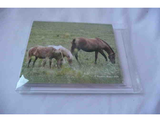 Kentucky Horses - Pack of 10 Blank Note Cards with Envelopes