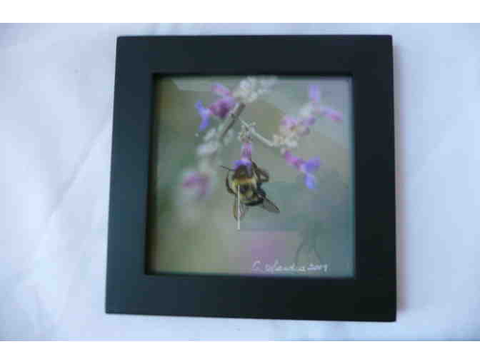 Two 5x5 Miniature Framed Prints of Bees