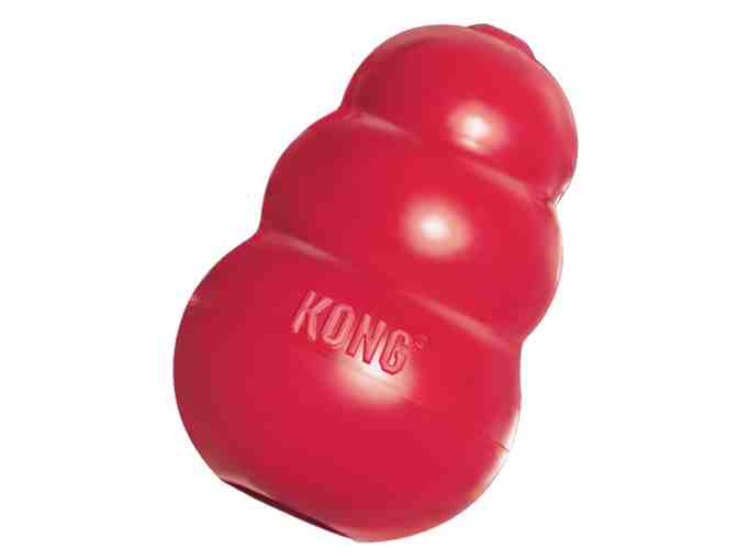 KONG Medium Dog Package