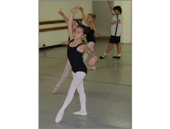 Dance Theatre Southwest Dance Classes