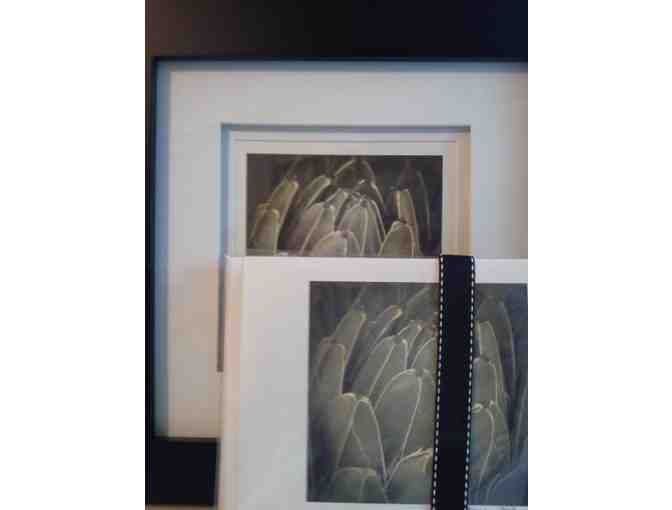 Katherine Page Photography: 10 x 10 Framed Numbered Print (2/100) + 4 Black Greeting Cards