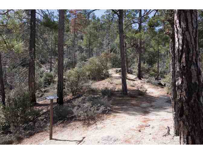 Guided hike up the Green Mountain and Maverick Spring Trails with Eb Eberlein (2 of 8)