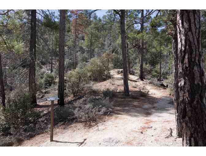 Guided hike up the Green Mountain and Maverick Spring Trails with Eb Eberlein (1 of 8)