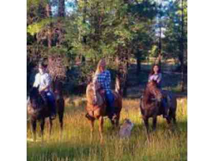 HORSEBACK RIDING FOR 4 PEOPLE | MTM RANCH