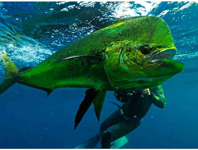 Florida Keys Fishing Excursion